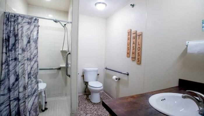 Bathroom Accessible Shower